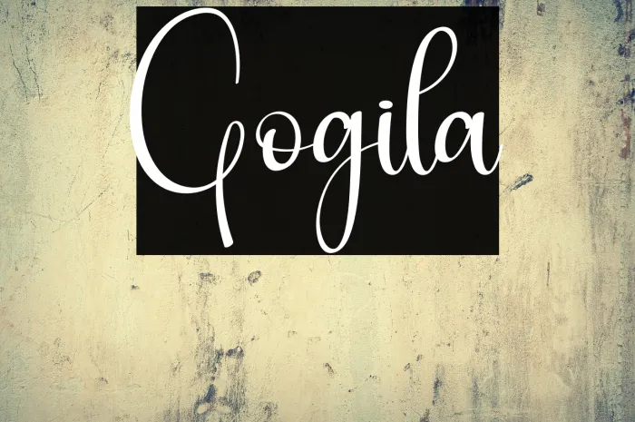 Gogila Example 3