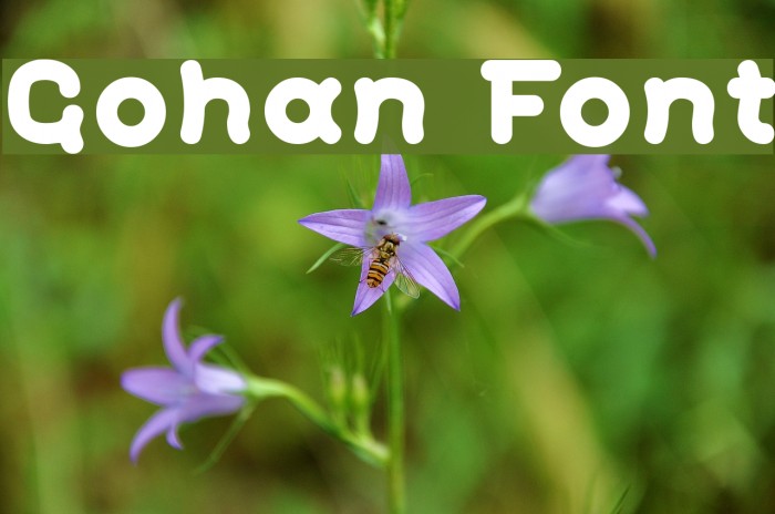 Gohan Font examples
