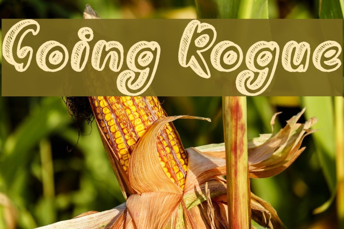 Going Rogue Font examples
