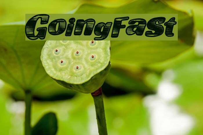 GoingFast Font examples