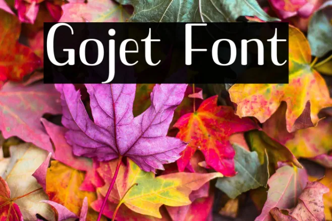Gojet Example 2