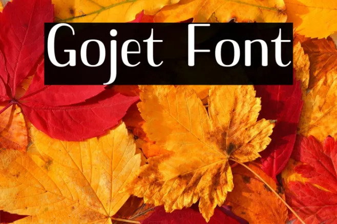 Gojet Example 3