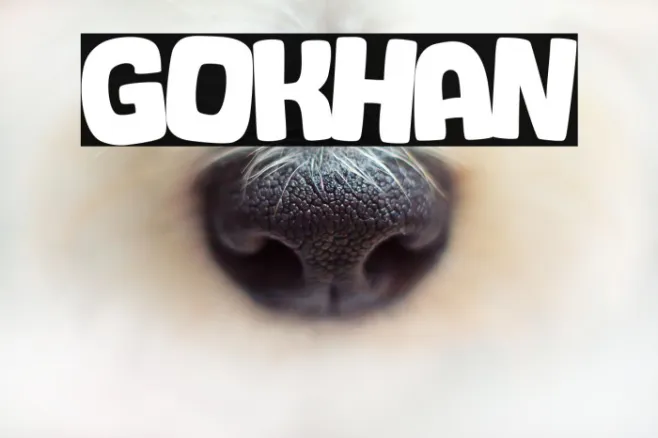 Gokhan Example 1