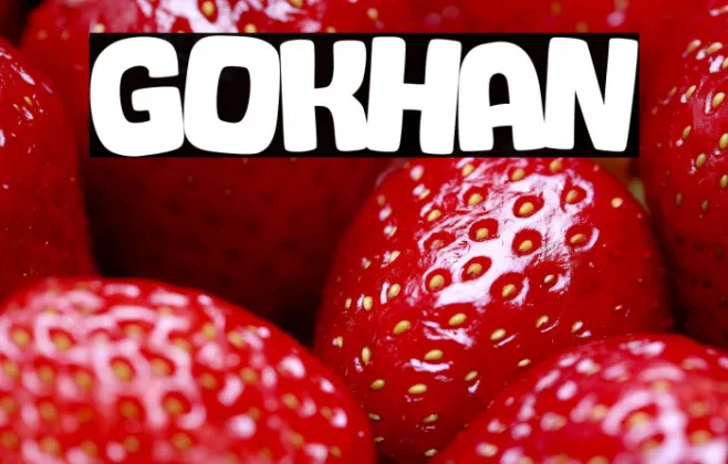 Gokhan Example 3