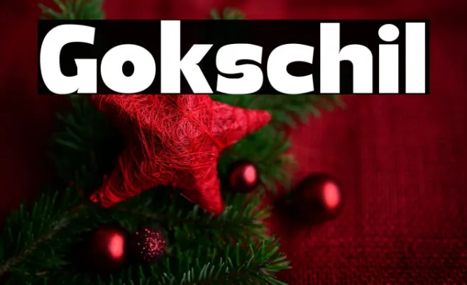 Gokschil Example 1