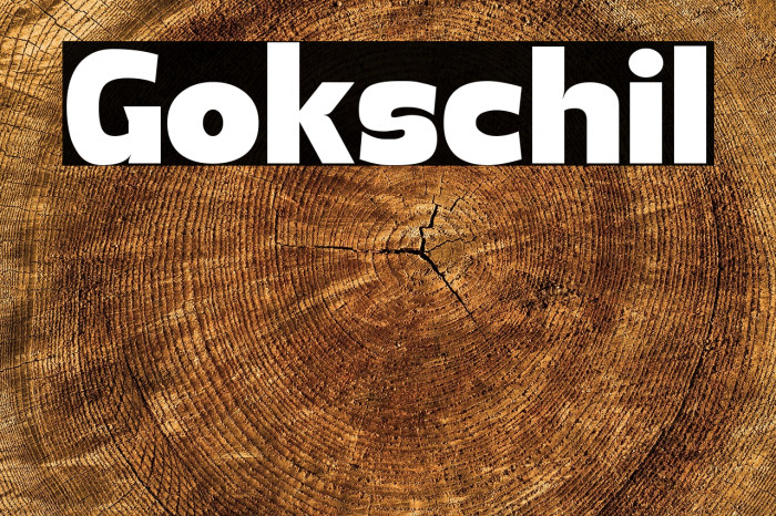 Gokschil Example 2