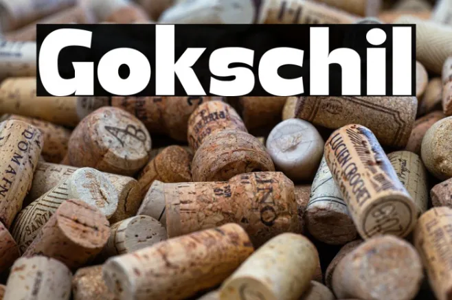 Gokschil Example 3