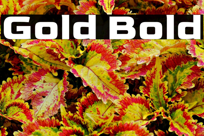Gold Bold Example 3