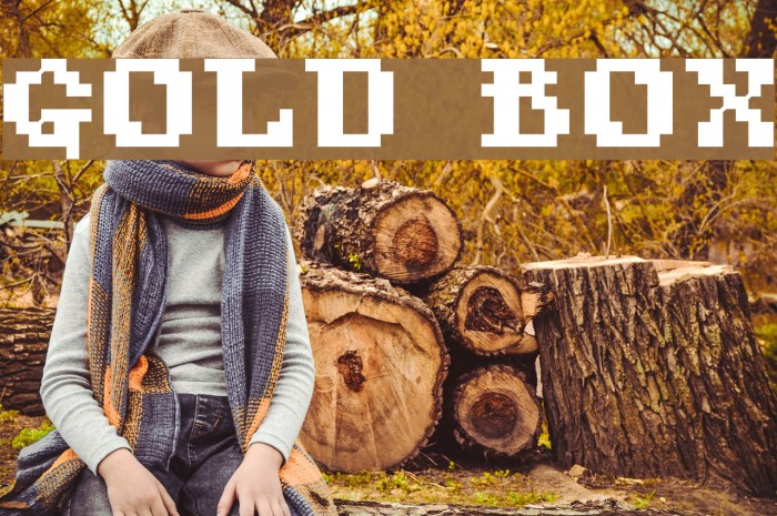 Gold Box Font examples