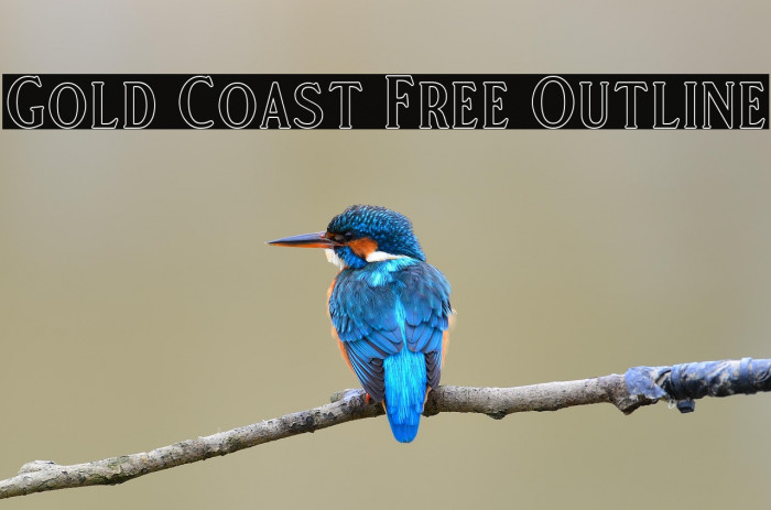 Gold Coast Free Outline Example 2