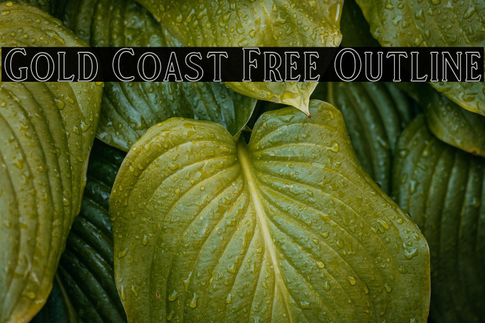 Gold Coast Free Outline Example 3