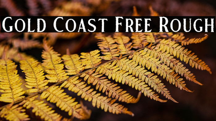 Gold Coast Free Rough Example 1