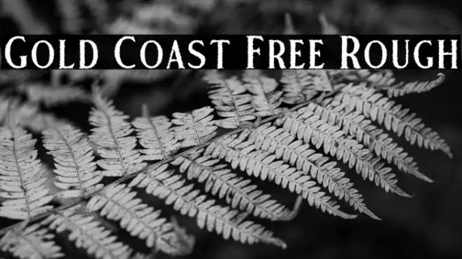 Gold Coast Free Rough Font examples