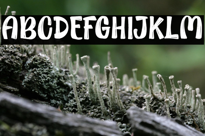 Gold Grater Demo Example 1