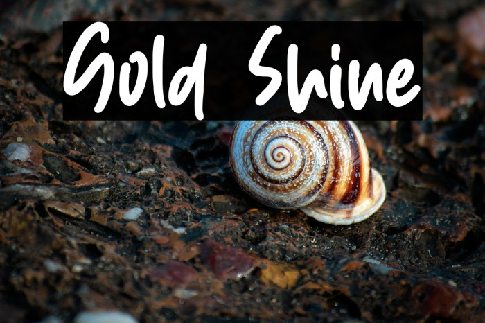 Gold Shine Example 3