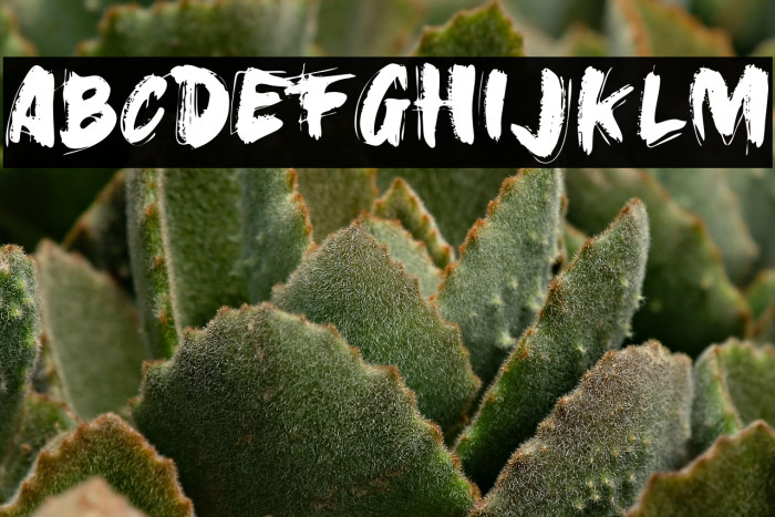 Gold Under The Mud Regular Example 2