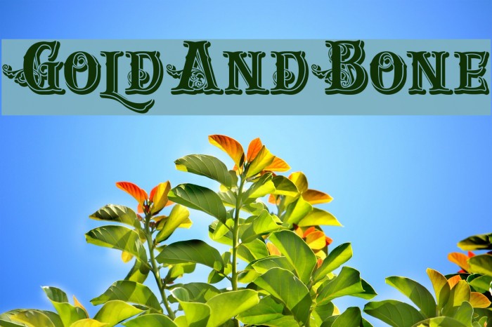 GoldAndBone Font examples