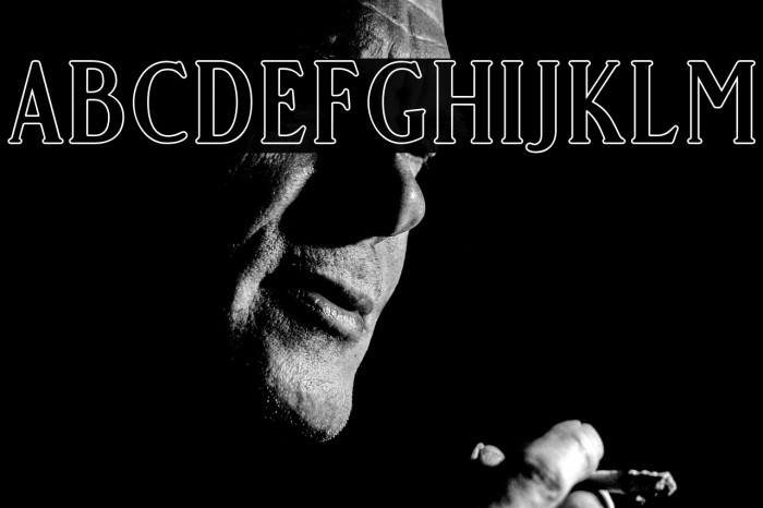 GoldCoastFree-Outline Example 3