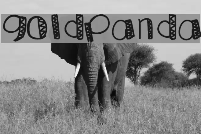 GoldPanda Font examples