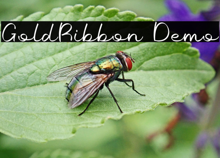 GoldRibbon Demo Example 1