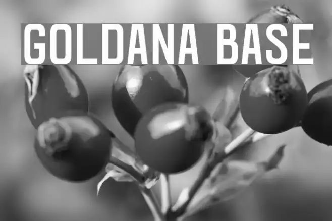 Goldana Base Font examples