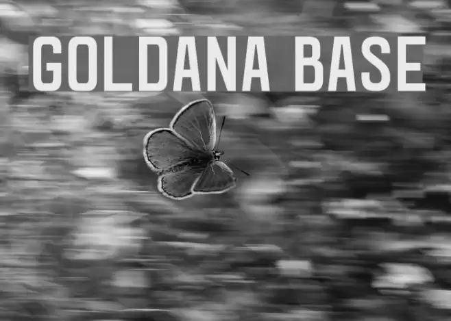 Goldana Base Font examples