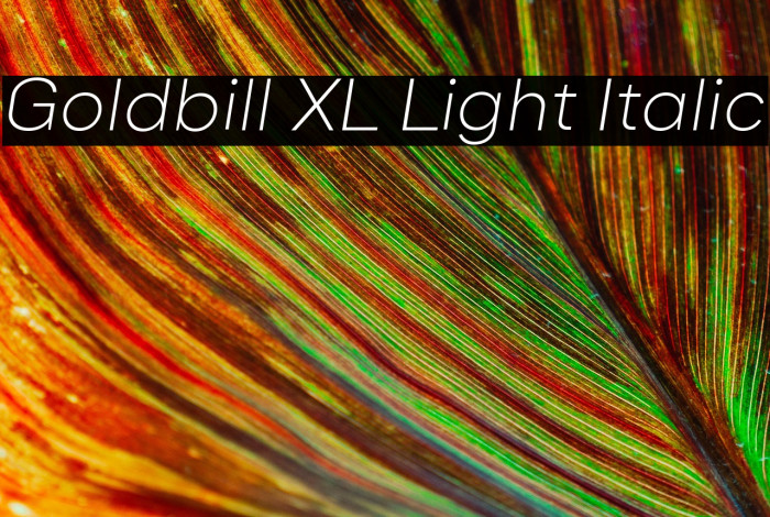 Goldbill XL Light Italic Example 2