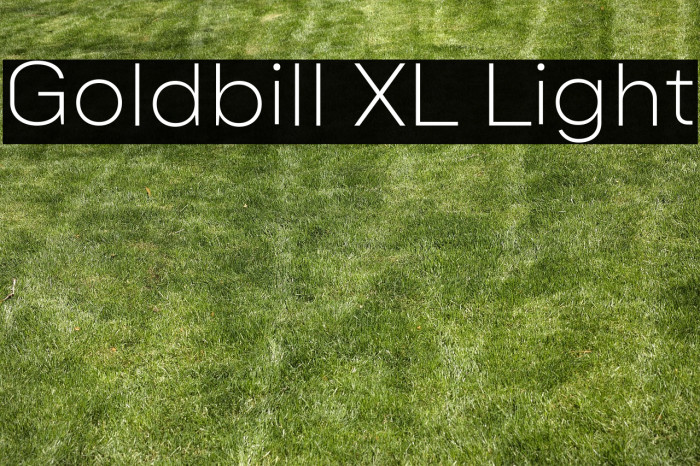 Goldbill XL Light Example 3