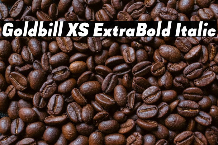 Goldbill XS ExtraBold Italic Example 2