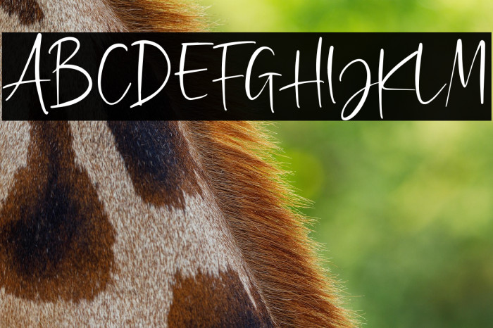 GoldbrickDEMO Example 3