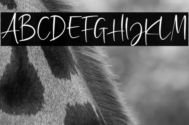 GoldbrickDEMO Font examples