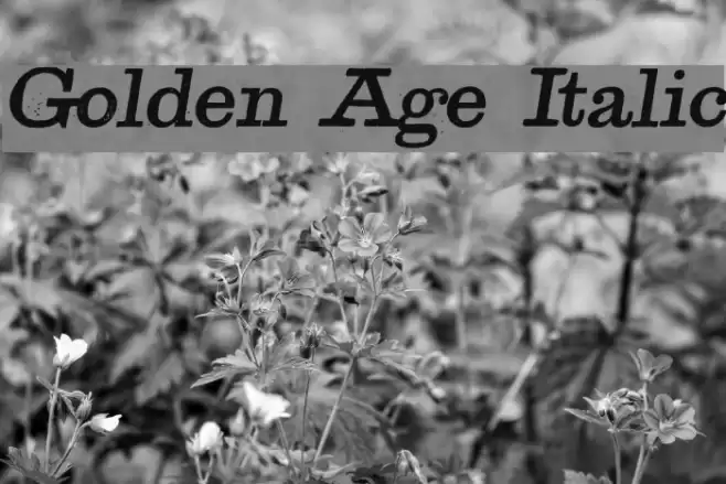 Golden Age Italic Font examples