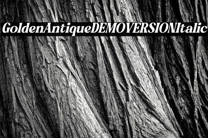 Golden Antique DEMO VERSION Italic Example 3