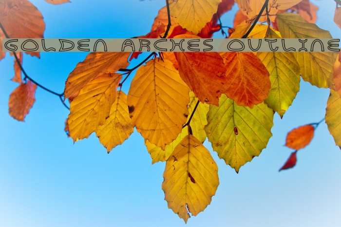 Golden Arches Outline Example 2