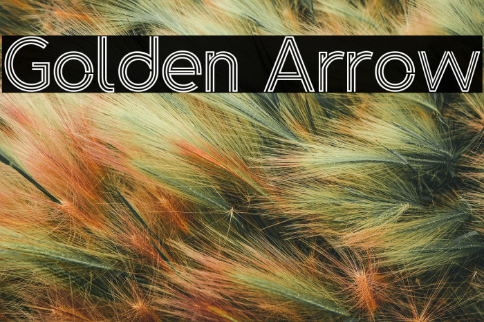 Golden Arrow Example 1