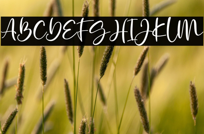 Golden Ballpoint Example 3