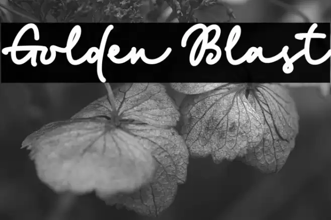 Golden Blast Font examples
