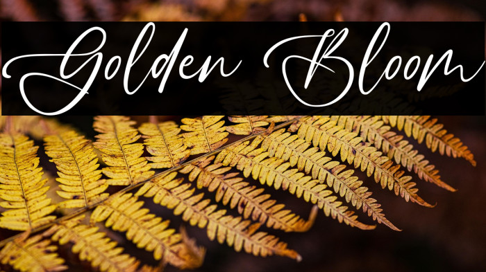 Golden Bloom Example 1
