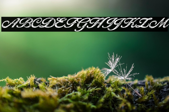 Golden Brick Personal Use Regular Example 3