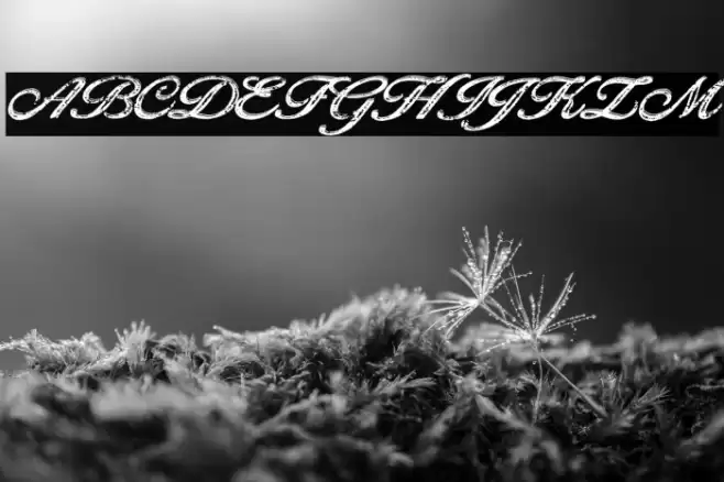 Golden Brick Personal Use Regular Font examples