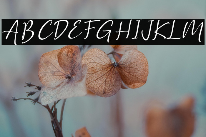 Golden Class Script Slant Golden Class Example 1