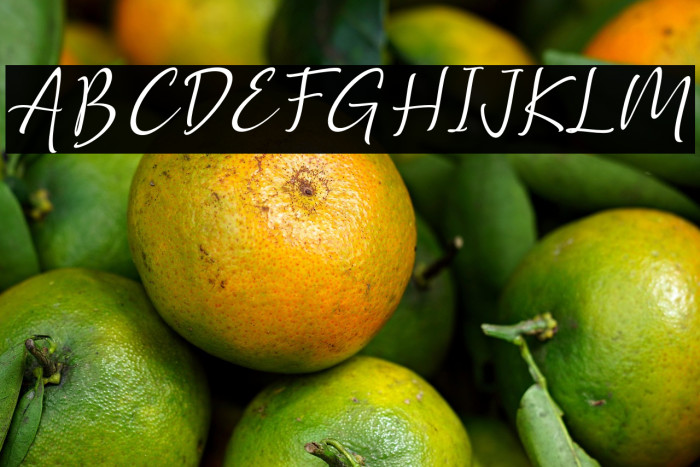 Golden Class Script Slant Golden Class Example 2