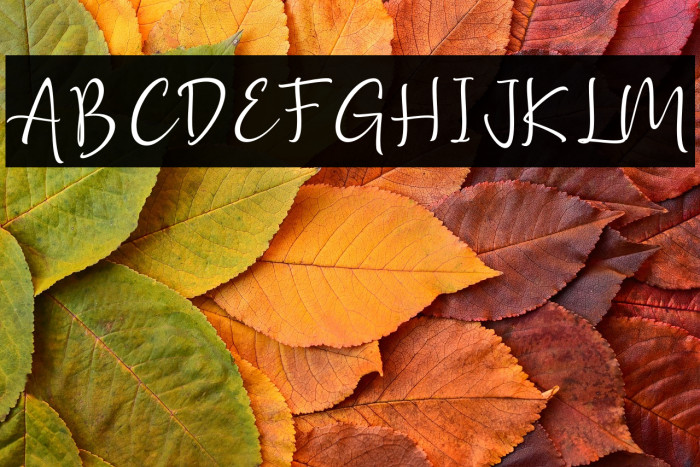 Golden Class Script Example 1