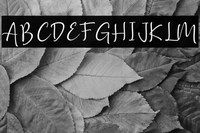 Golden Class Script Schriftart examples