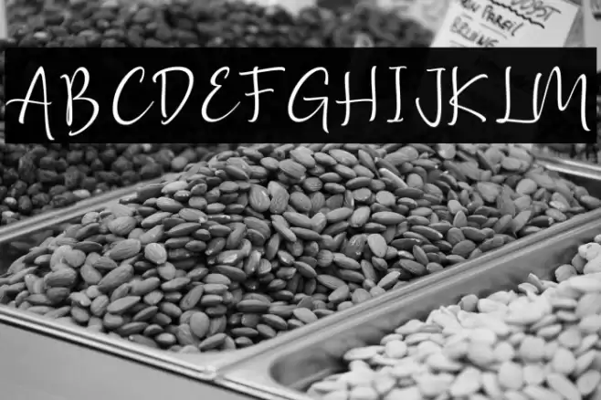 Golden Class Script Schriftart examples