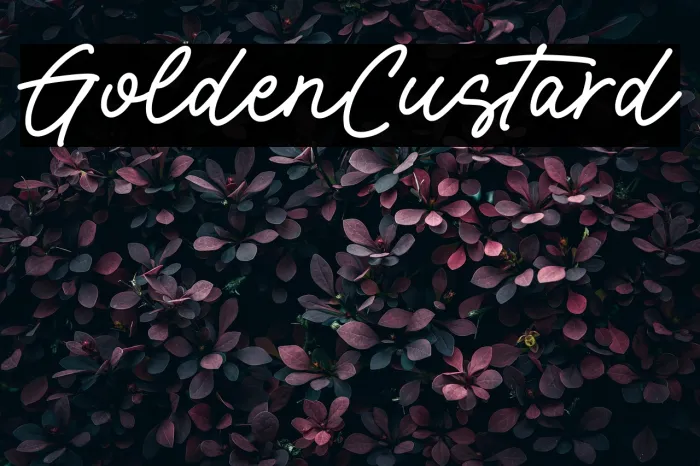 Golden Custard Example 1