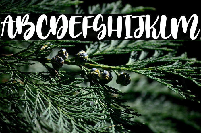 Golden Dates Example 2