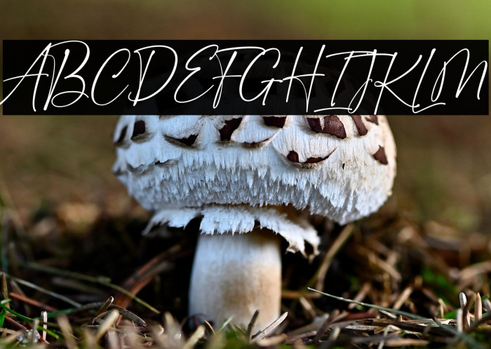 Golden Dream Example 1