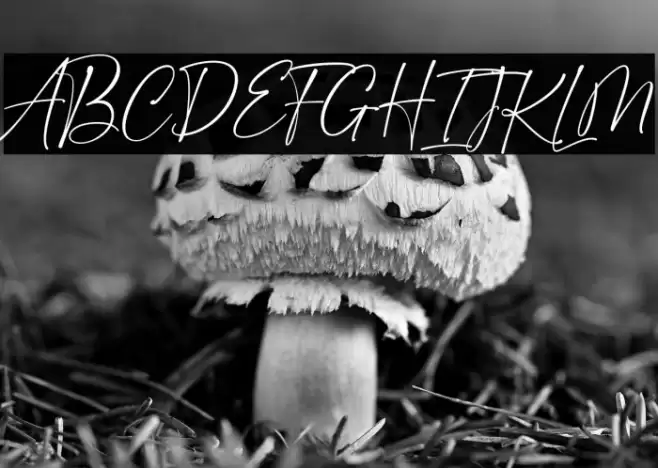 Golden Dream Font examples