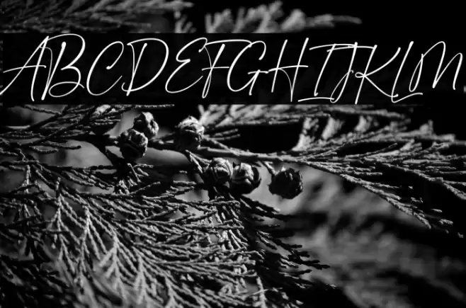 Golden Dream Font examples